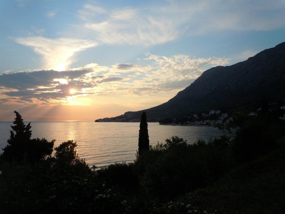 Guilty Pleasures: My Croatian Donut Addiction Revealed! Guilty Pleasures: My Croatian Donut Addiction Revealed!