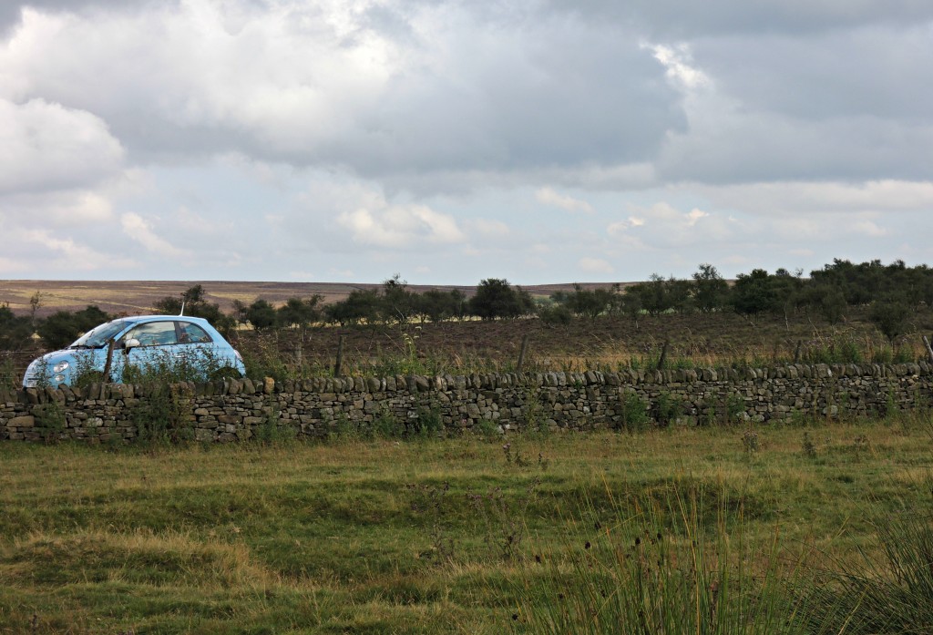 80 pairs of shoes my new wheels