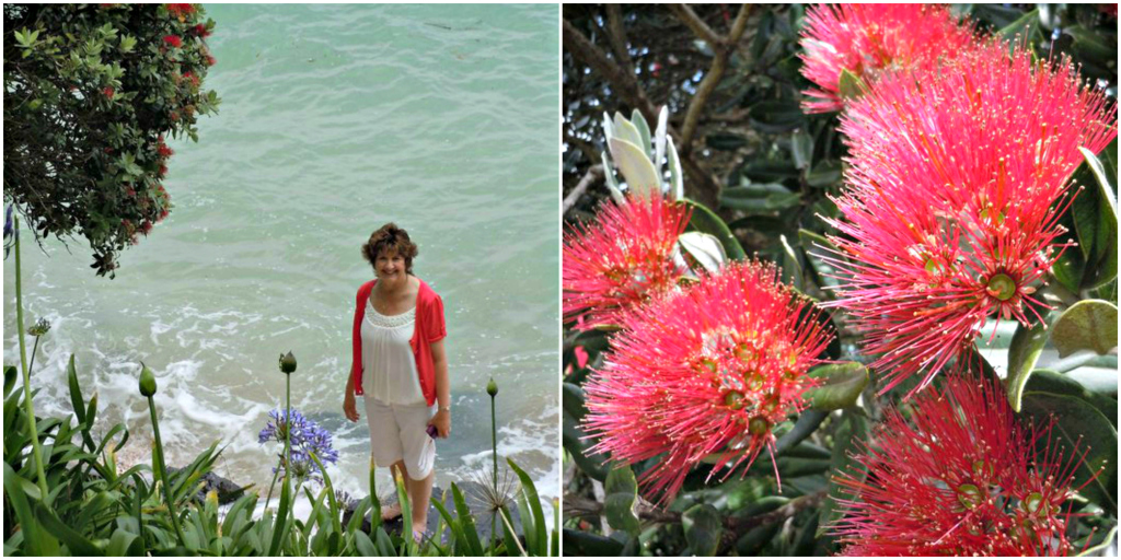 northern hemisphere vs southern hemisphere christmas northern hemisphere vs southern hemisphere christmas
