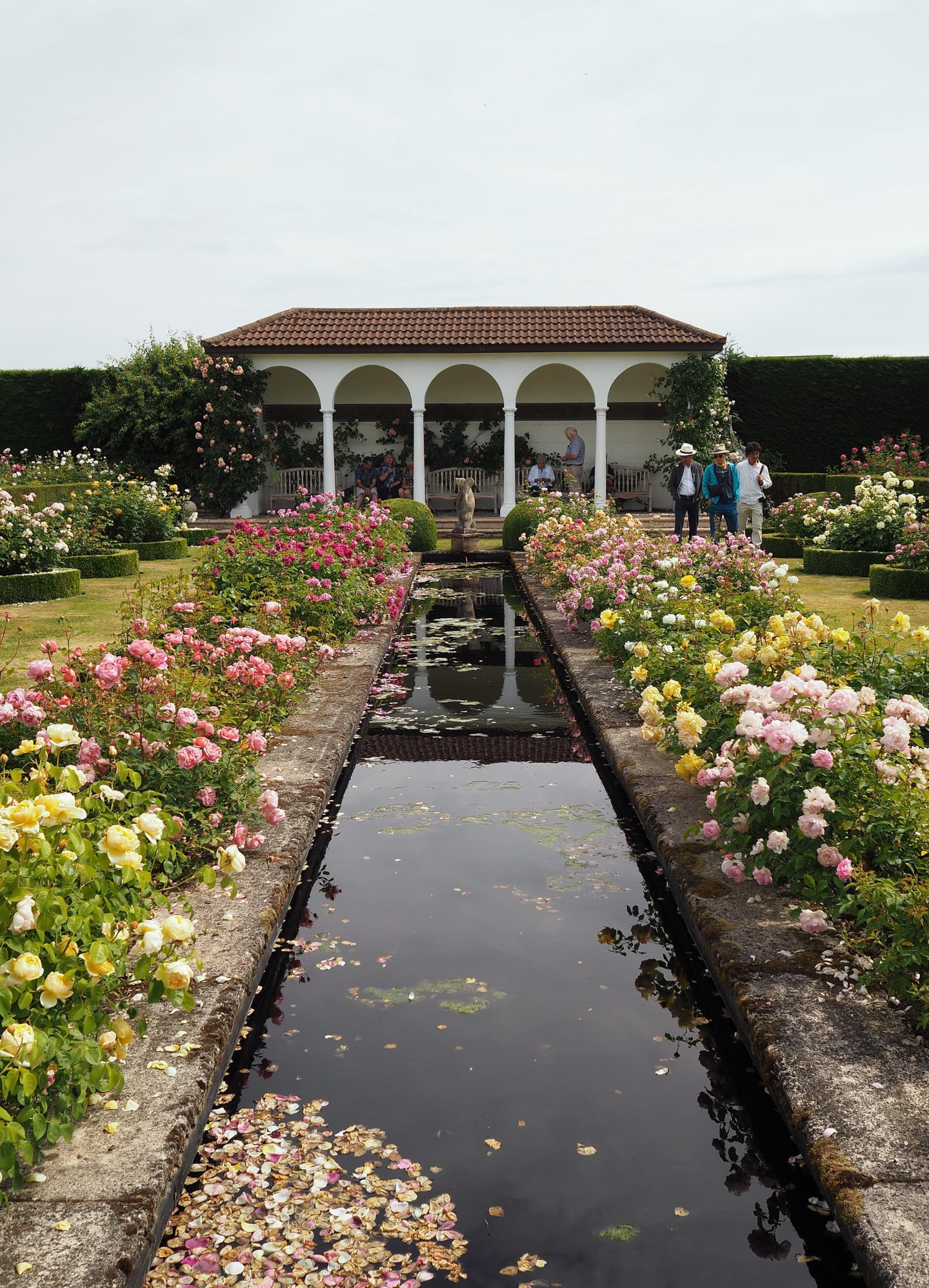 England Travel InspirationDavid Austin Rose Garden: English Rose Perfume Perfection. Looking for gardening inspiration then why not click on the photo to see various landscape ideas and beautiful flowers for your garden. #davidaustinroses #roses #beautifuldestinations #gardening #england #shropshire #80pairsofshoes England Travel InspirationDavid Austin Rose Garden: English Rose Perfume Perfection. Looking for gardening inspiration then why not click on the photo to see various landscape ideas and beautiful flowers for your garden. #davidaustinroses #roses #beautifuldestinations #gardening #england #shropshire #80pairsofshoes