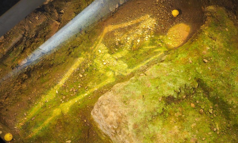 England Travel InspirationA Day Trip from London to Leicester, one of England's most underrated and interesting cities in Leicestershire. Looking for Day Trip Ideas, then this city is perfect for a family day out where you can learn about the Car Park King aka King Richard III and the historical battles of England that took place in the area. England Travel InspirationA Day Trip from London to Leicester, one of England's most underrated and interesting cities in Leicestershire. Looking for Day Trip Ideas, then this city is perfect for a family day out where you can learn about the Car Park King aka King Richard III and the historical battles of England that took place in the area.