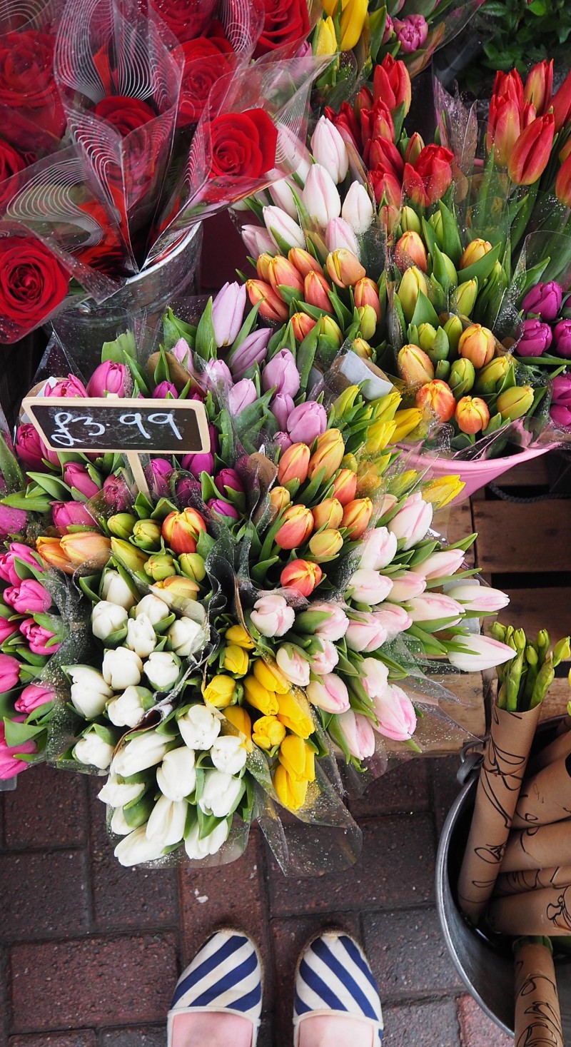 England Travel InspirationA Day Trip from London to Leicester, one of England's most underrated and interesting cities in Leicestershire. Looking for Day Trip Ideas, then this city is perfect for a family day out where you can learn about the Car Park King aka King Richard III and the historical battles of England that took place in the area. England Travel InspirationA Day Trip from London to Leicester, one of England's most underrated and interesting cities in Leicestershire. Looking for Day Trip Ideas, then this city is perfect for a family day out where you can learn about the Car Park King aka King Richard III and the historical battles of England that took place in the area.